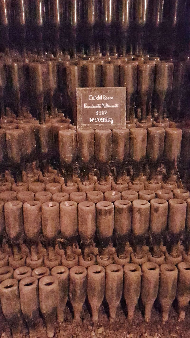 cadelsbosco